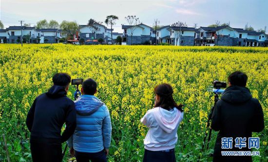 B(ti)1Ĵԡý (sh)F(xin)l(xing)d