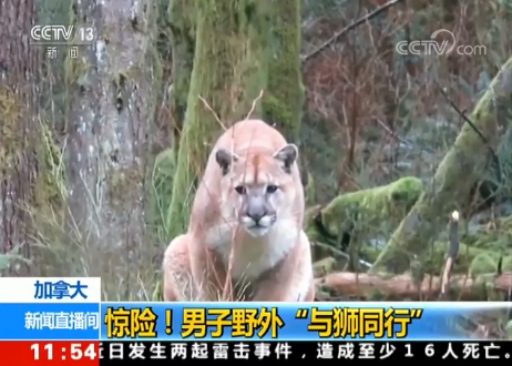 ô@U(xin)Ұ⡰c{ͬС