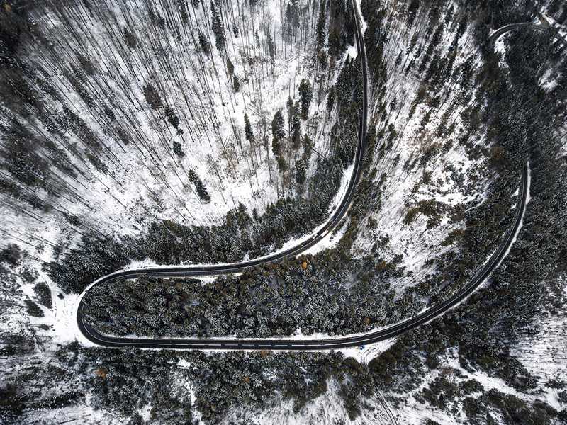 _R၆zӰNicu SpinuzښW޲ƾS{