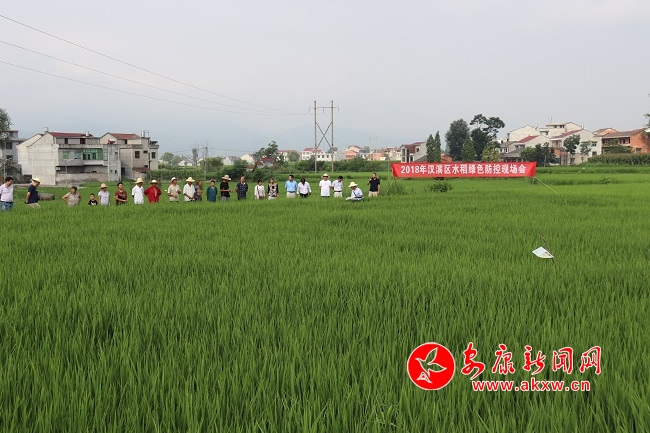 �o(w��)�˙C(j��)�@����  �����(n��i)æ�w��1.JPG