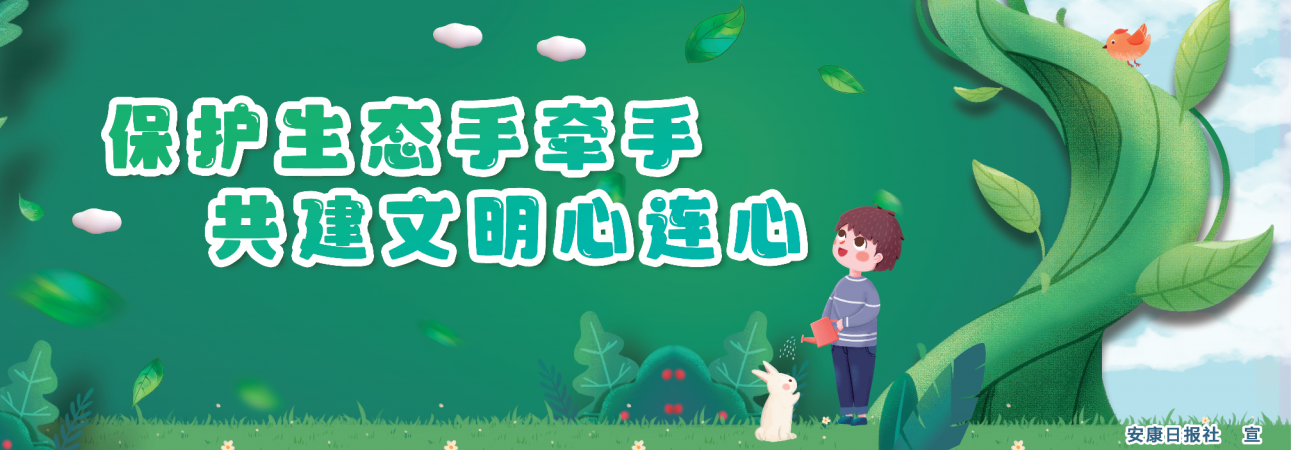 ���o(h��)���B(t��i)�֠��� �����������B��