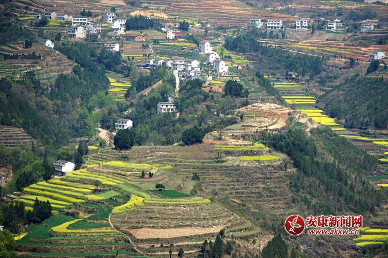 D2.̎(ni)ꑸ(d)߁ɽɽɽص6Nεòc(din)˷Ϣ@˂ò