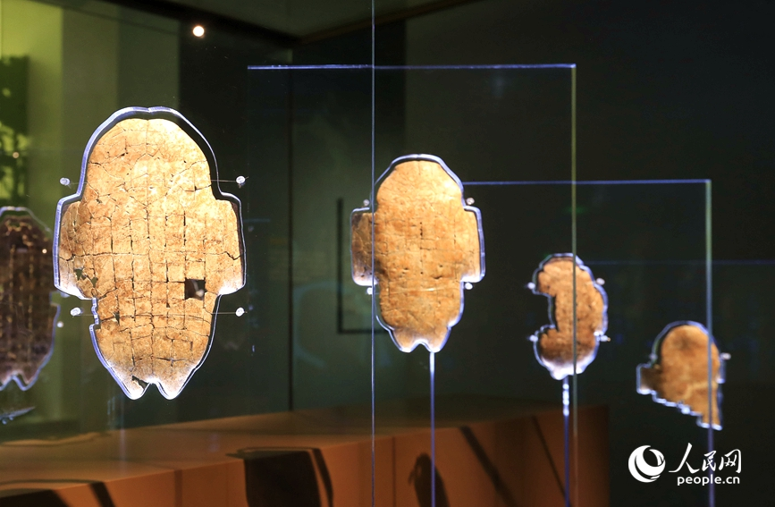 殷墟博物館展出的甲骨文。人民網(wǎng)記者 慎志遠(yuǎn) 攝