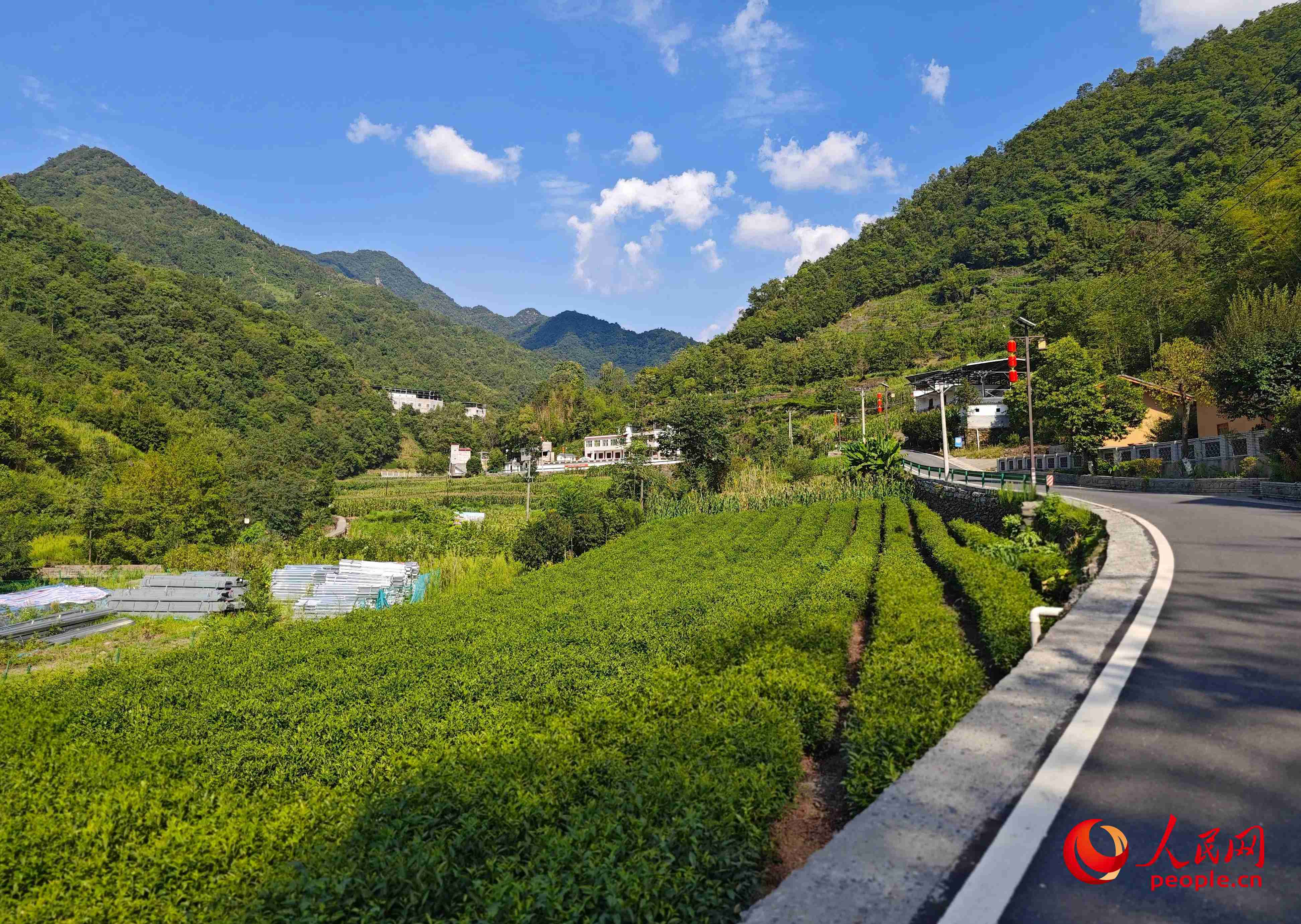 里端溝旁的鳳凰村。人民網(wǎng)記者 黃鈺攝
